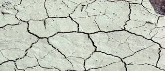 Últimas noticias y artículos sobre talibanes. 2 Femmes De La Secte Juive Taliban Arretees Pour Kidnapping Et Maltraitance Centre Contre Les Manipulations Mentales