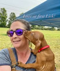 Hello again, Rose had another busy day learning how to be a farm doggie…  she had too much fun racing around the garden and helping to pull the dead  veggie plants. Did