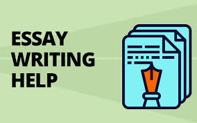 Essential Rules for Essay Writing in English - Pak24tv
