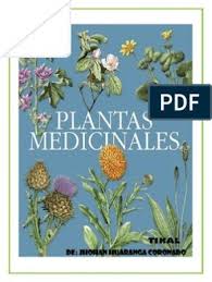 Las plantas, en forma de hierbas, especias y. Manual De Remedios Herbolarios Vino Agua Prueba Gratuita De 30 Dias Scribd Plantas Medicinales Plantas Medicinales Hierbas Plantas