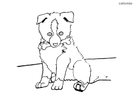 Five dogs in a funny dog coloring page. Dogs Coloring Pages Free Printable Dog Coloring Sheets