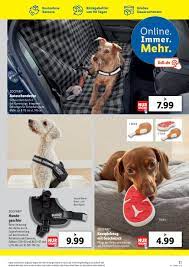 Finde täglich frische lebensmittel, markenartikel und haushaltsartikel in deinem lidl markt. Lidl Ostern 2021 Aktueller Prospekt 22 03 27 03 2021 31 Jedewoche Rabatte De