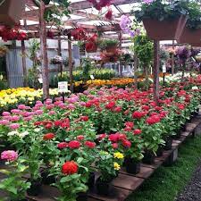 Shop for organic fruit and vegetables, fresh flowers and locally produced honey at a farmers' market. Half Moon Bay Nursery Flower Shop In Half Moon Bay