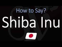 ɕiba̠ inɯ̟ᵝ) is a japanese breed of hunting dog. How To Pronounce Shiba Inu Correctly Dog Breed Name Pronunciation Youtube