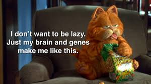 Are Your Grades Good? - Quora