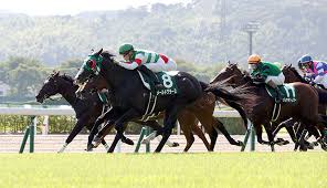 We did not find results for: ãƒ¬ãƒ¼ã‚¹ã«ã¤ã„ã¦ å°å€‰è¨˜å¿µ ä»Šé€±ã®æ³¨ç›®ãƒ¬ãƒ¼ã‚¹ Jra