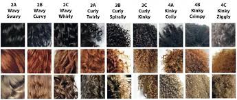 What Type Of Curly Hair Do You Have Natural Hair Styles Natural Hair Types Curly Hair Styles