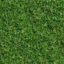 Maybe you would like to learn more about one of these? Lush Seamless Grass Texture Custom Designed Textures Creative Market