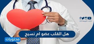 دِل یا گِش) نوعی عضو عضلانی در انسان‌ها و دیگر حیوانات است که خون را از طریق رگ خونی در دستگاه گردش خون به گردش درمی‌آورد. Ù‡Ù„ Ø§Ù„Ù‚Ù„Ø¨ Ø¹Ø¶Ùˆ Ø£Ù… Ù†Ø³ÙŠØ¬ Ø­Ù‚Ø§Ø¦Ù‚ Ø¹Ù† Ù‚Ù„Ø¨ Ø§Ù„Ø§Ù†Ø³Ø§Ù† Ù…ÙˆÙ‚Ø¹ Ù…Ø­ØªÙˆÙŠØ§Øª