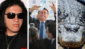 Na ocasião, o presidente disse que não nos responsabilizamos por qualquer efeito colateral e se você virar um jacaré, é problema seu. Gene Simmons Kiss Se Irrita Com Declaracao De Bolsonaro Sobre Vacina