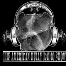 Transistors are objects jimmy can find through various locations in bullworth. American Bully Radio Show Home Facebook