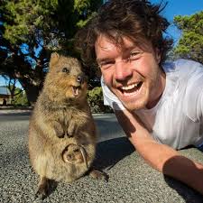 This Guy Takes Adorable Selfies With Every Animal He Meets