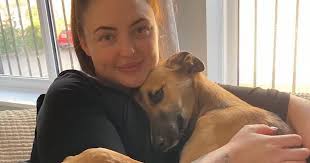 Desperate bid to save family's dog injured in freak accident