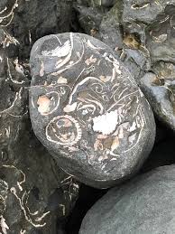 A not so secret beach,Monterey Bay 🤠