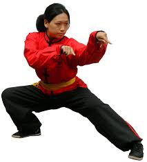 It was created by wang lang (王朗) and was named after the praying mantis, an insect, the aggressiveness of which inspired the style. Sifu Mai Du Wah Lum Kung Fu Tai Chi Academy