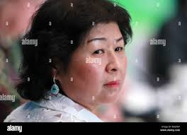 Zhang yan hi-res stock photography and images