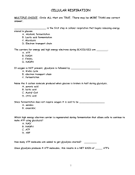 Cellular respiration is a set of metabolic reactions and processes that take place in the cells of organisms to convert biochemical energy from nutrients into adenosine triphosphate (atp), and then release 2 quiz questions. 31 Atp Worksheet Answer Key Free Worksheet Spreadsheet