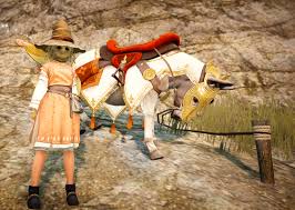 How to get a camel. Horse