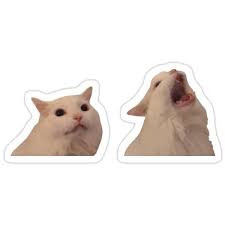 White Cat Screaming Meme Pack Sticker By Goath Pegatinas Bonitas Pegatinas Kawaii Pegatinas Wallpaper