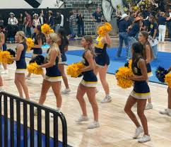 Image result for Cleome schimperi