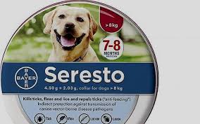 104/2001 privind organizarea şi funcţionarea poliţiei de frontieră. Pericolul Ascuns Din Zgarda Antipurici A Animelor De Companie Pesticidele News Romania