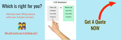 Term Life Vs Whole Life Simple Guide From The Experts Pinnaclequote