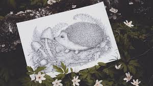 Attempting to render fur will often result in a lot of contrast, which will create a focal point whether you want it or not. Drawing Natural Textures With Ink Liners