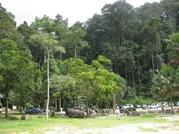 The campus of the forest research institute malaysia (frim) is forest plantation research site established since 1926. Picnic At Frim Electronics Repair And Technology News