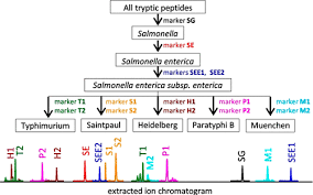 Asap Identification Of Salmonella Taxon Specific Peptide