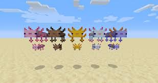 Posted by 5 minutes ago. Top 5 Minecraft Mobs That Should Be Tamed