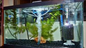 Terlepas dari nilai estetis yang dimiliki, aquarium relatif berat karena terbuat dari kaca. Jenis Dan Harga Aquarium Yang Populer Dijual Sekarang Ini