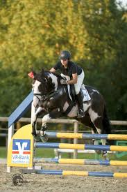 Pin On Unusual Thoroughbreds