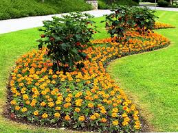 Get the best deal for flower garden modern quilts from the largest online selection at ebay.com. Cool Raised Vegetable Garden Design Ideas Incredible Furniture