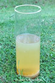 Kefir De Fruits Un Jardin Dans Ma Cuisine Kefir Kefir De Fruit Fruits