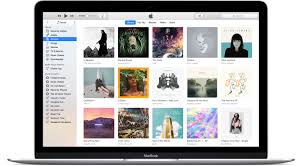 Download the latest version from the itunes page on apple's site.; How To Find And Remove Duplicate Songs In Itunes