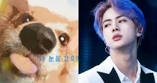 Jin's bed and biscuits pet resort is an established family owned and operated boarding facility. Bts Jin S Solo Song Tonight Used As Bgm For Mbc Show Koreaboo
