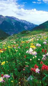 Free Download Download Nature Iphone Wallpapers Hd 640x1136 640x1136 For 640x1136 For Your Desktop Mobile Tablet Explore 64 Latest Nature Iphone Wallpapers Latest Nature Iphone Wallpapers Latest Nature Wallpapers Anything that is an apple original always receives.