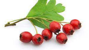Our spacious suites offer all the essentials, such as. 9 Impressive Health Benefits Of Hawthorn Berry