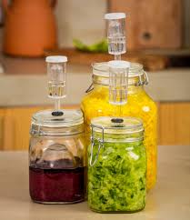 Lacto Fermented Vegetables Prepared At Home The Easy Way
