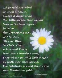 Scent Of Wildflowers 2 Fine Art Photography By Edmpoetryphotography Erica Massaro Wildflower Photo Emil Inspirational Poems Poems Emily Dickinson Poetry