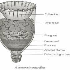 According to the plan, the porous tissue (xylem) of sapwood acts as an effective filter for contaminants as small as 70 nanometers. 34 Water Filtration Ideas Water Filtration Water Filter Emergency Prepping