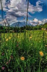 Pin Auf Bus Reiseziele