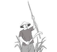 Sketsa petani / 25 trend terbaru sketsa gambar petani mencangkul di sawah tea and lead : Nasib Petani Tebu Opini Koran Tempo Co