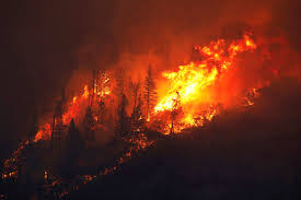 Wildfires in bc threaten homes, trigger evacuations in kamloops, castlegar. Latest Numbers Confirm 2018 Was B C S Worst Wildfire Season On Record Aldergrove Star
