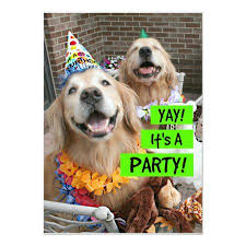 Golden Retriever Yay It S A Party Invitation Zazzle Com In 2021 Golden Retriever Golden Retriever Birthday Retriever