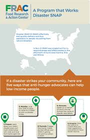 supplemental nutrition assistance program snap food