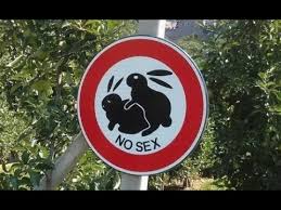 La soare, apa si zgarieturi pe acesti magneti pot fi inserate fotografii cu imaginile. Imagini Amuzante Cu Animale Faze Tari Comice Youtube