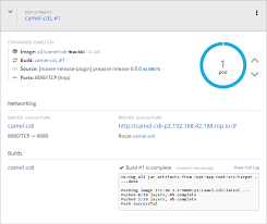 Xml schemas are simpler and yet more powerful to validate any xml document. Wildfly Camel User Guide