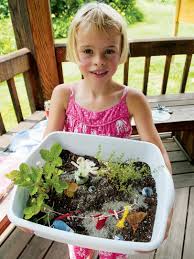 Check spelling or type a new query. Fairy Garden Flowers And Plants Hgtv