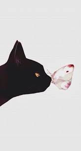 Pin De Best Wallpaper Wallpaper Bac Em Vicces Kepek Gatinhos Fofos Wallpaper Gatos Gatinho Desenho